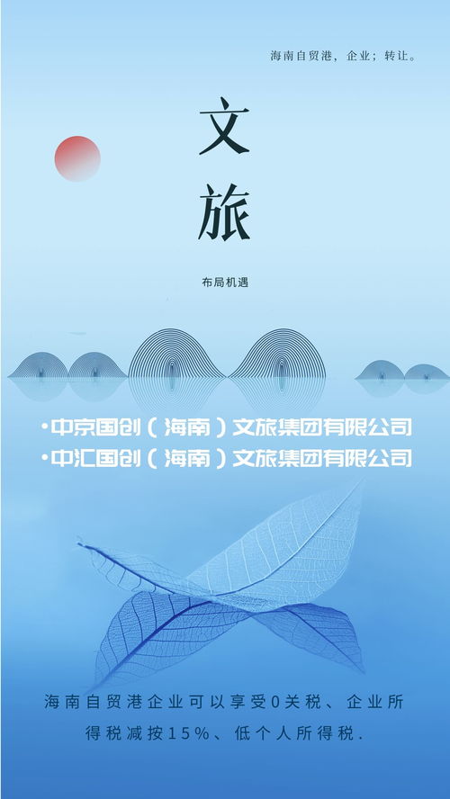 海南自貿(mào)港文旅集團(tuán)與德國企業(yè)對比 稅收優(yōu)勢顯著助力文化藝術(shù)交流繁榮